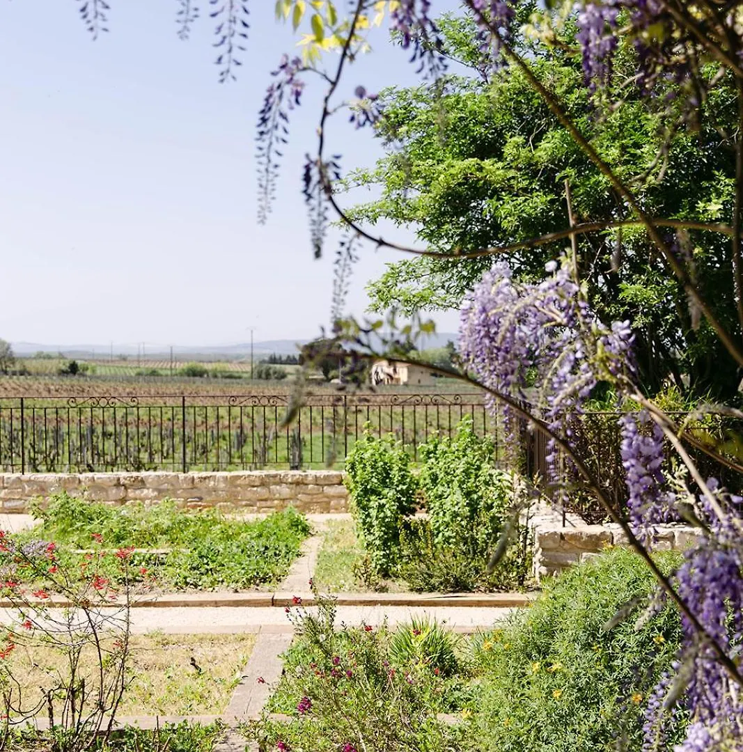 La Maison Dans Les Vignes Orange  Villa Orange (Vaucluse)