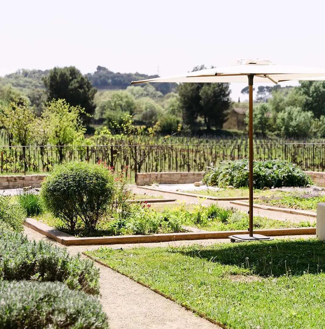 La Maison Dans Les Vignes Orange  Villa